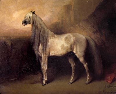 Baba Ali, Arabisch Paard door Generaal Henri d