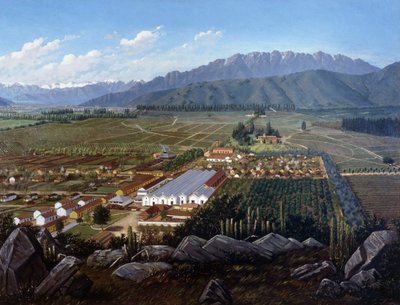 De wijngaard van Erranzuriz-Panquehue, Chili door Daniel Escobar