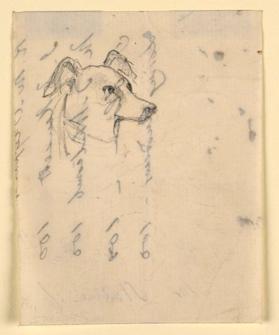Tekening, Hondenkop, waarschijnlijk Milo (een Pointer), ca. 1862 door Daniel Huntington