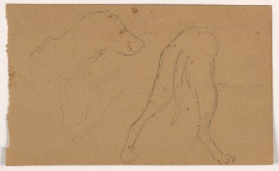 Tekening, Milo (een Pointer), hoofd en lichaam, ca. 1862 door Daniel Huntington
