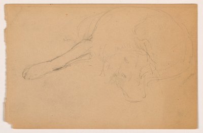 Tekening, Miol (een Pointer), ca. 1862 door Daniel Huntington