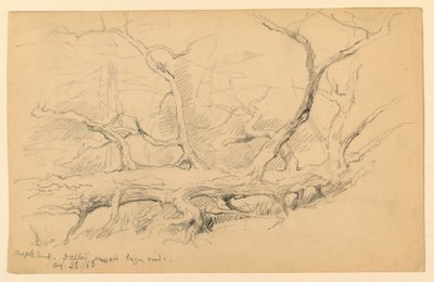 Esdoornstam, Over Oude Houtweg, Dalton door Daniel Huntington