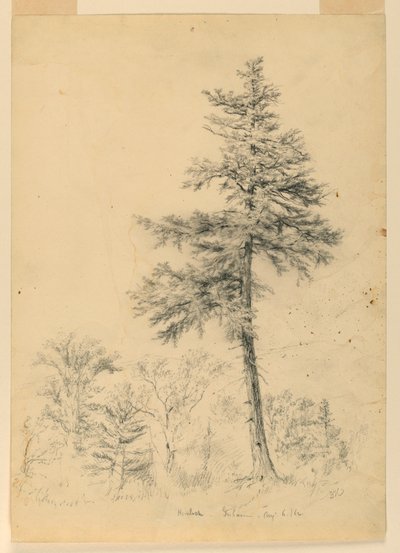 Studie van Hemlock, Gorham, New Hampshire door Daniel Huntington