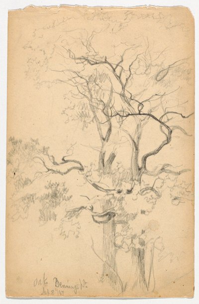 Studie van Eiken bij Dennings Point door Daniel Huntington