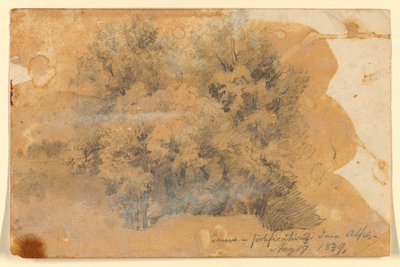 Studie van bomen, Genève door Daniel Huntington