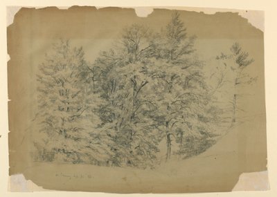 Studie van bomen, North Conway, New Hampshire door Daniel Huntington