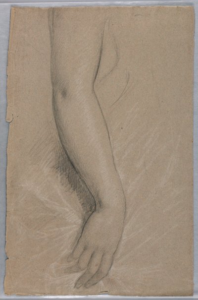 Studie van een Arm voor Portret van Mevrouw Rutherford B. Hayes door Daniel Huntington
