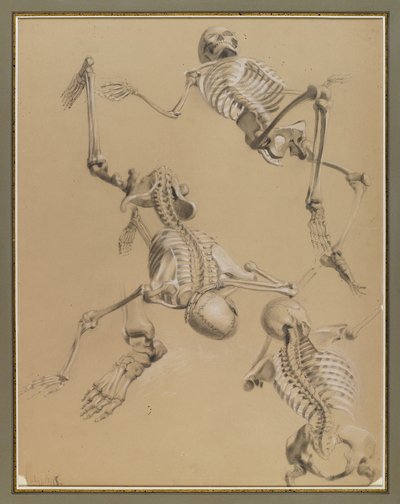 Studie van skeletten, 1848 door Daniel Huntington