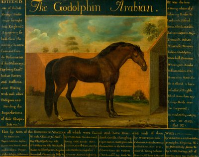 De Godolphin Arabian door Daniel Quigley