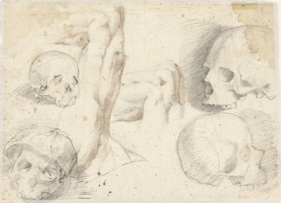 Vier studies van een schedel door Daniele da Volterra