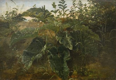 Voorgrondstudie met zuringbladeren door Dankvart Dreyer