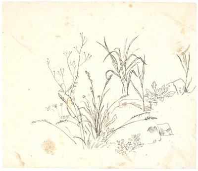 Gras door Dankvart Dreyer