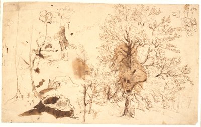 Studie met bomen, planten en stronken door Dankvart Dreyer