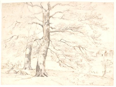 Uitzicht over een landschap, op de voorgrond grote beukenbomen door Dankvart Dreyer