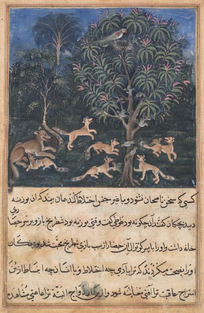 Pagina uit Verhalen van een papegaai Tuti-nama: Vijfde nacht: De papegaaienmoeder waarschuwt..., c. 1560 door Daswanth
