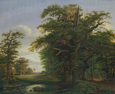 Eikenhout, 1847 door David Christopher Mettlerkamp