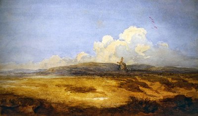 Een molen op een gemeenschappelijke grond door David Cox