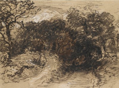 Een holle Weg nabij Harborne, Derbyshire door David Cox