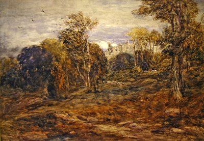 Barden Toren door David Cox