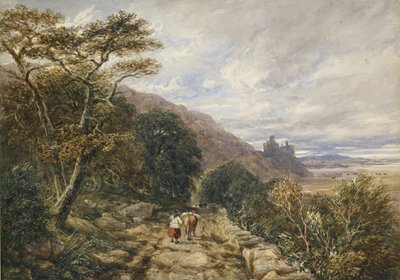 Landweg naar Harlech Castle, 1842 door David Cox