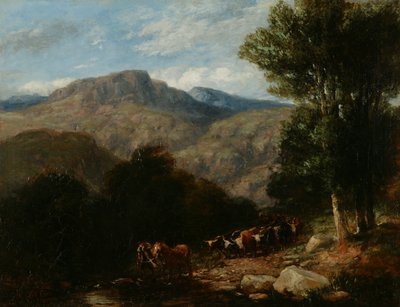 De oversteek van de doorwaadbare plaats door David Cox