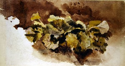 Dock bladeren door David Cox