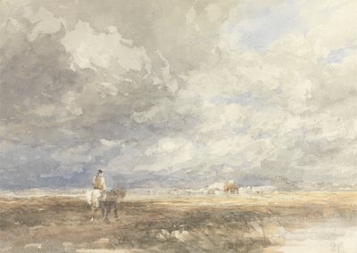 Op weg naar het hooiveld door David Cox