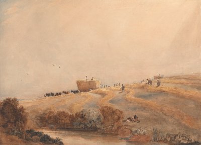Hooien door David Cox
