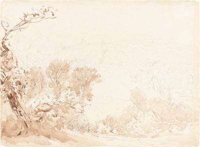 Heuvel en Bomen door David Cox