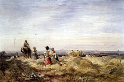 In het hooiveld door David Cox
