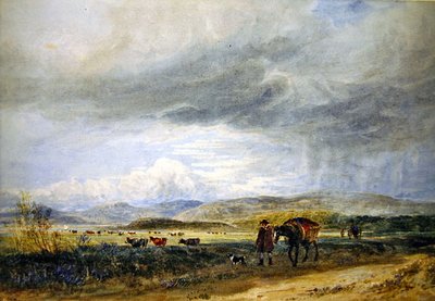 Llugwy weiden door David Cox