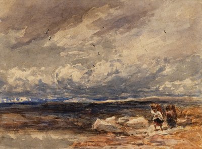 Op Carrington Moss door David Cox