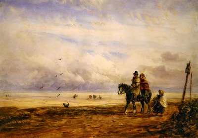 Aan de kust door David Cox