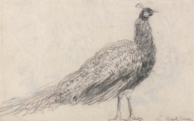 Pauw bij Capel Curig door David Cox