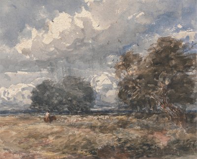 Herder de Kudde, Winderige Dag door David Cox