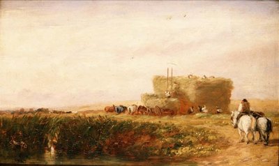 Het hooiveld door David Cox