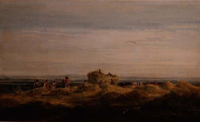 Het Hooiveld door David Cox