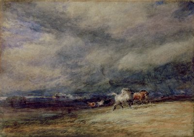 De Nachttrein door David Cox