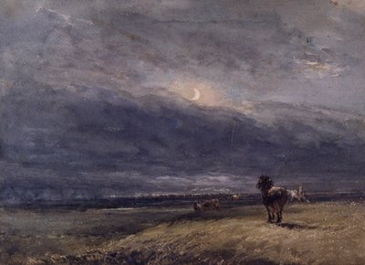 De Nachttrein door David Cox