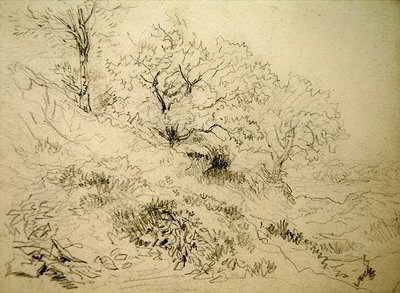 Welsh Landschap door David Cox