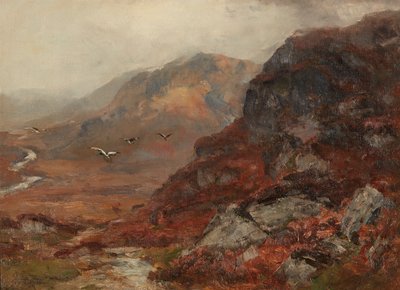 Hooglanden door David Farquharson