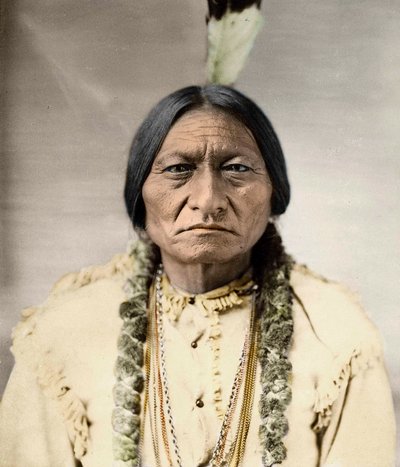 Sitting Bull, Noord-Amerikaanse inheemse leider door David Frances Barry