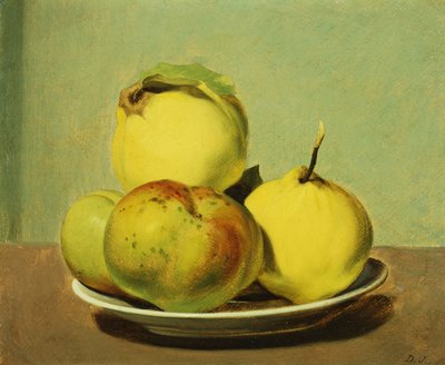 Schaal met appels en kweeperen, door David Johnson