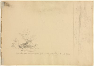 Landschap en Boomstudies verso, c. 1851 door David Johnson