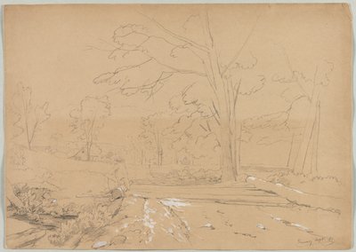 Landschap met vissende man, Conway, New Hampshire door David Johnson