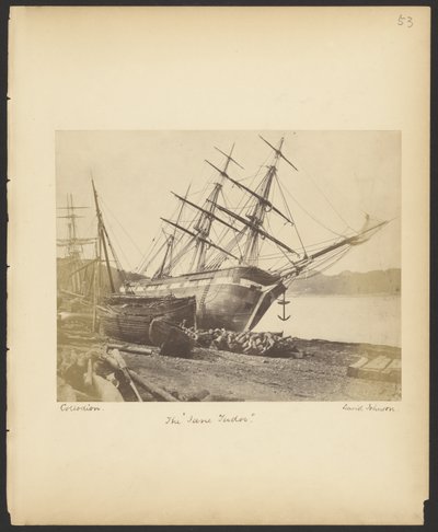 De "Jane Tudor" door David Johnson