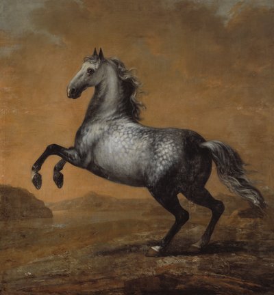 De kleine Engelsman, paard van koning Karl XI (1655-97) door David Klöcker Ehrenstrahl