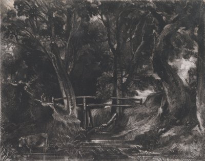 Een dal, Helmingham Park, Suffolk, 1830 door David Lucas