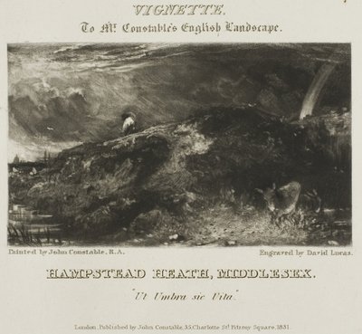 Hampstead Heath, Middlesex door David Lucas