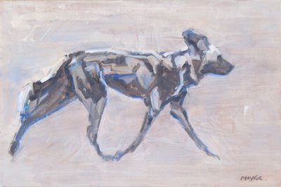 Afrikaanse wilde hond, 2024 door David Mayer